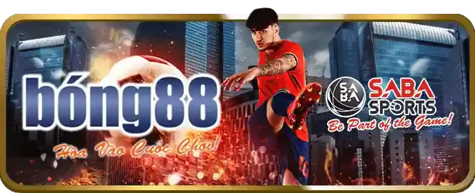 Cá cược thể thao c54c